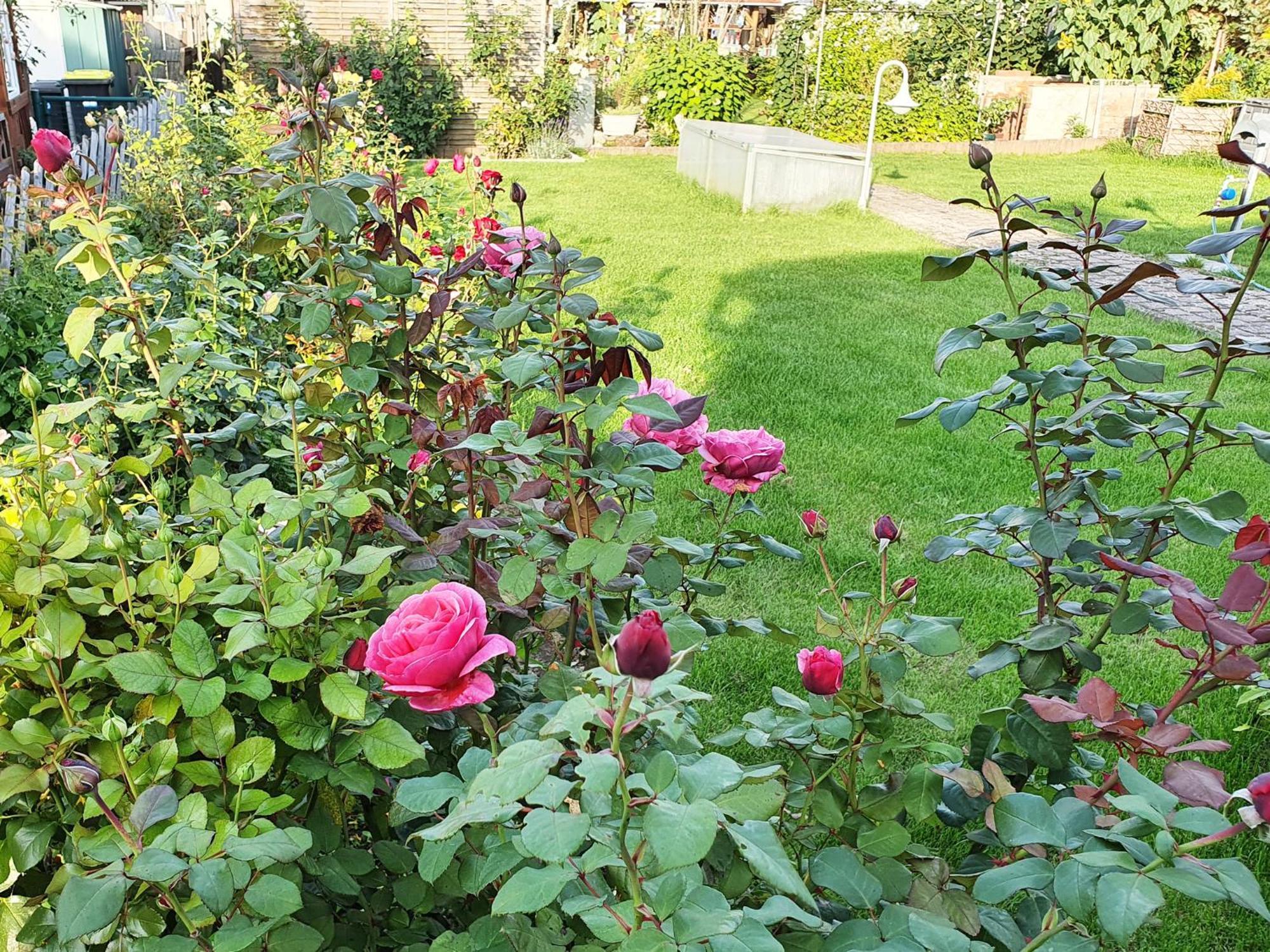 Ferienwohnungen Hainichglueck Bad Langensalza Esterno foto